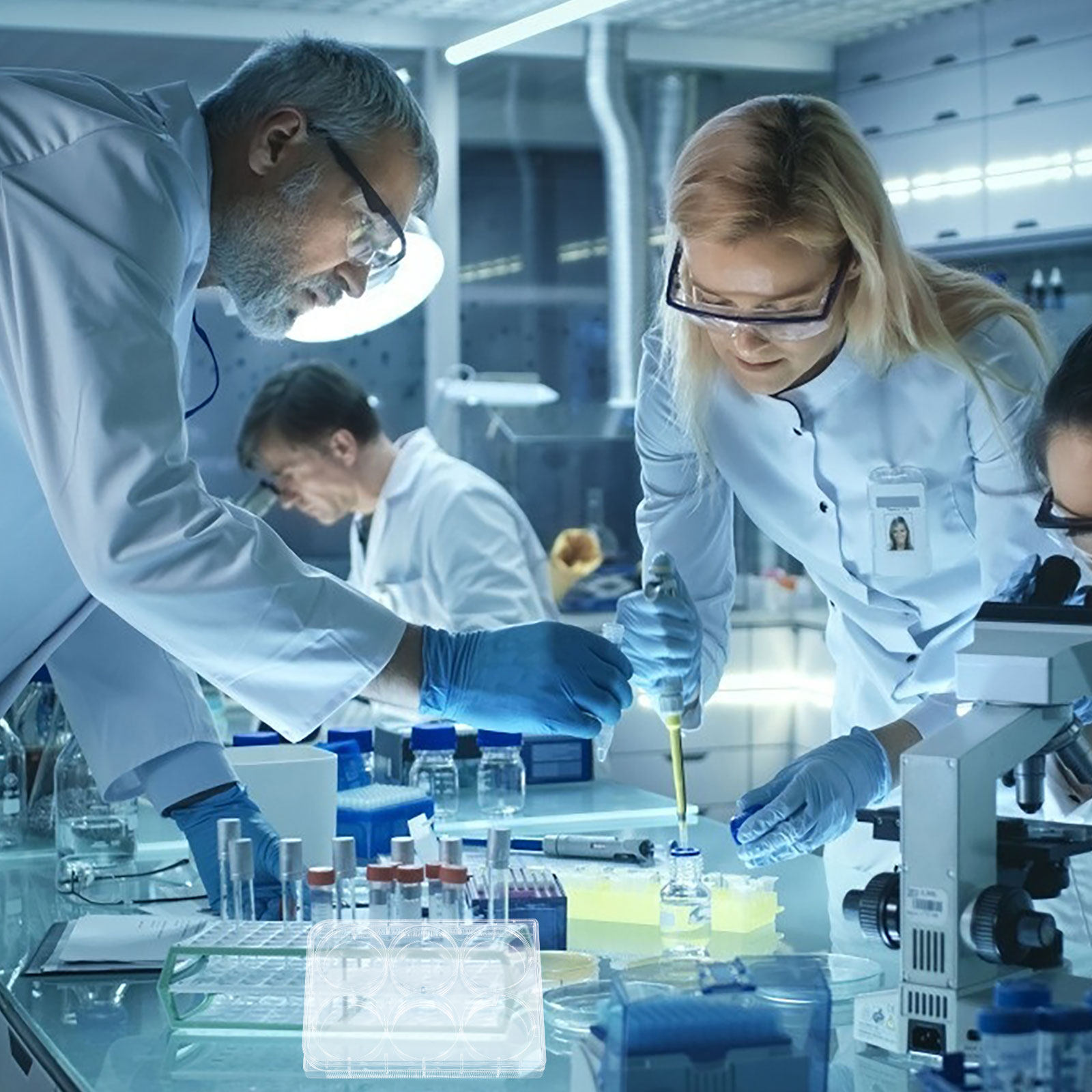 組織培養プレート ラボ用耐久性のある実用的なデザインの細胞培 - Lab Equipment のレビューと価格